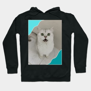 Green eyes cute cats Hoodie